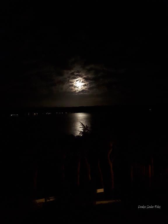 Above Tide Motel Campbell River Εξωτερικό φωτογραφία